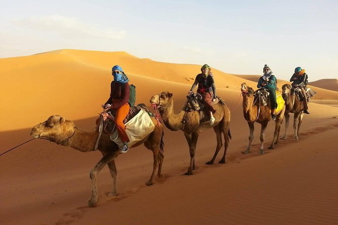 Morocco 9 Days Tour From Casablanca - Accommodation and Meals