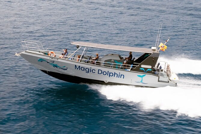Morro Jable: 2 Hours Magic Dolphin & Whale watching with Drinks & Swim Stop. - Practical Tips for a Great Experience