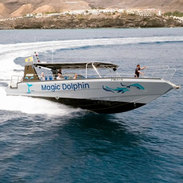 Morro Jable: Dolphin & Whale Watching Cruise, Drinks & Swim - FAQ