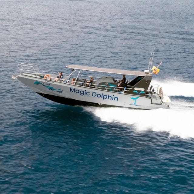 Morro Jable: Dolphin & Whale Watching Cruise, Drinks & Swim - Details About the Boat