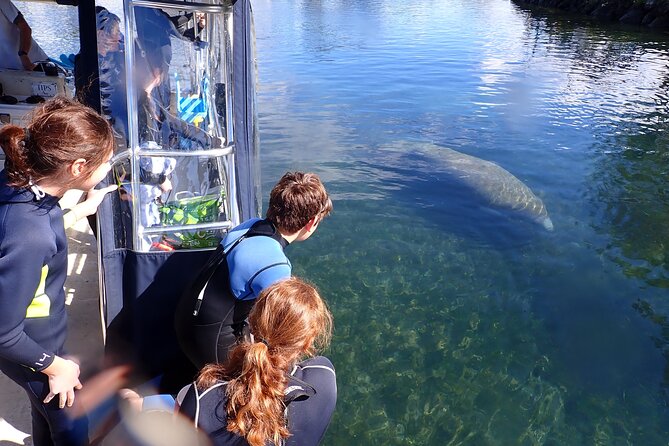 Most Popular 3hr Manatee Swim Tour + In-Water Guide! - Preparing for the Manatee Encounter