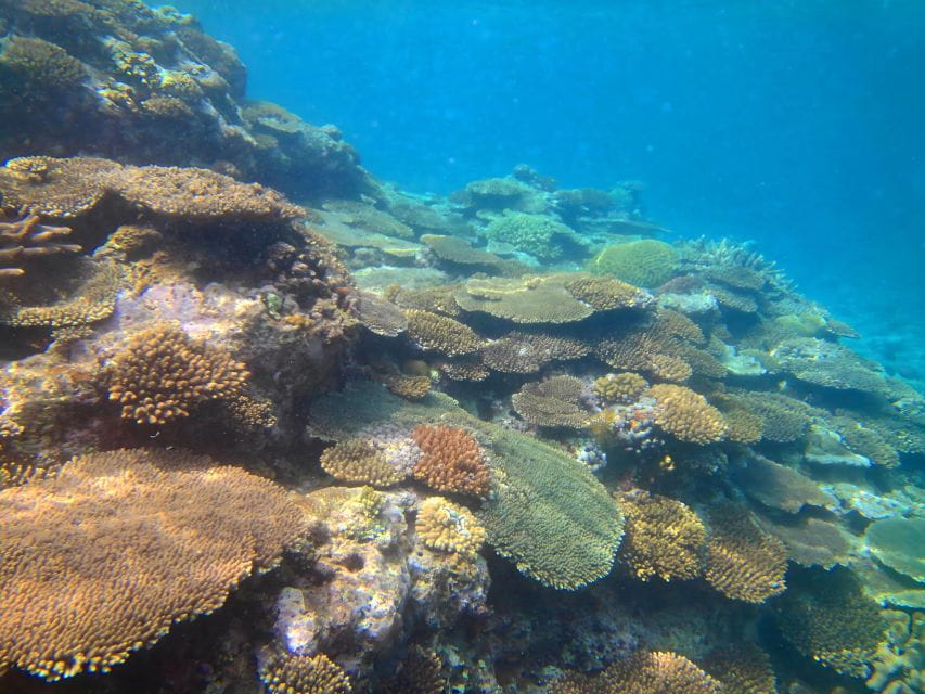 Motobu: Kayak and Snorkel Private Booking - Tour Overview