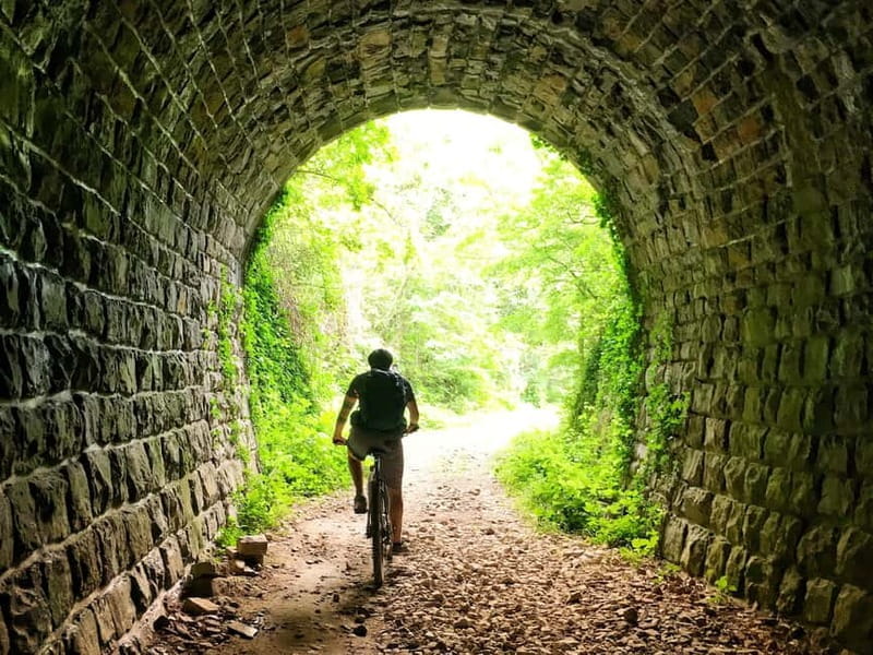 Motovun: E-Bike Tour in Istria - Who Will Love This Tour?