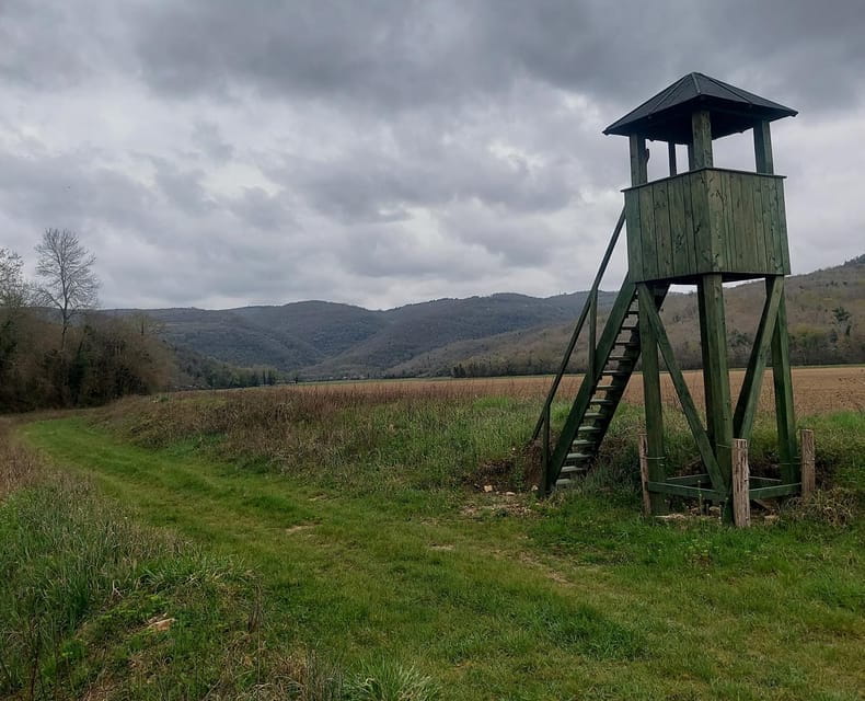 Motovun: The trail of Giants hiking tour & Fritule Tasting - Who Should Book This Tour?