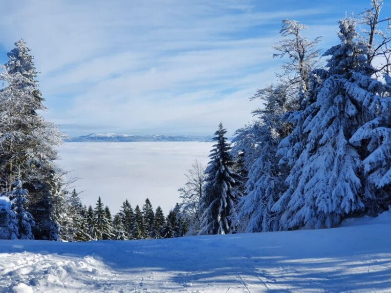Mount Arber: Snowshoeing in the Bavarian Forest Guided Tour - Frequently Asked Questions (FAQs)