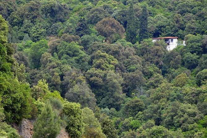 Mount Athos Full Day Cruise from Thessaloniki - Price and value