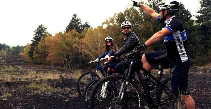 Mount Etna: Guided Mountain Bike Tour - Key Points / Takeaways