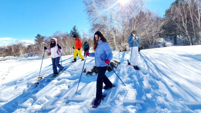 Mount Etna: Guided Snowshoeing Trekking Tour - Who Is This Tour Best For?