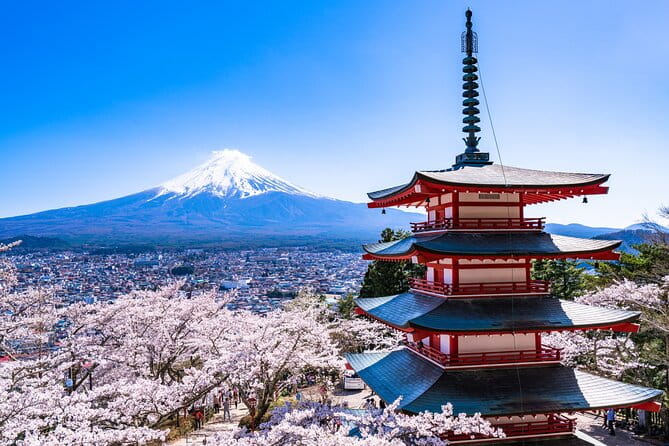 Mount Fuji 5 Iconic Instagrammable Spots Tour - Tour Conditions and Recommendations