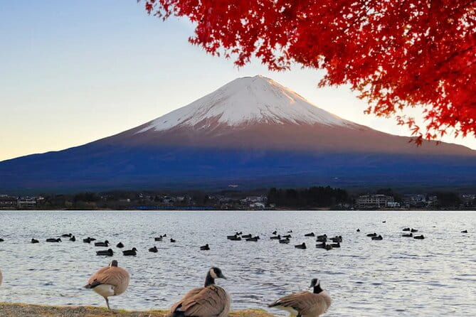Mount Fuji 5th Station Kawaguchiko Gotemba Mall Tour From Tokyo - Meeting Information