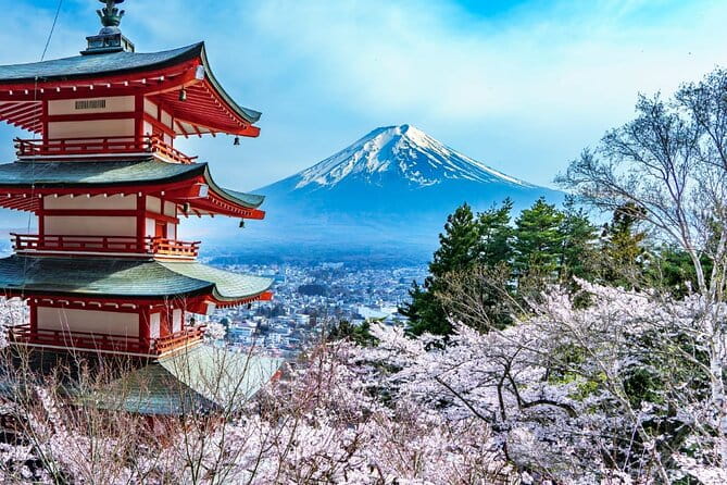 Mount Fuji and Hakone Day Trip With English Professional Guide - Key Points