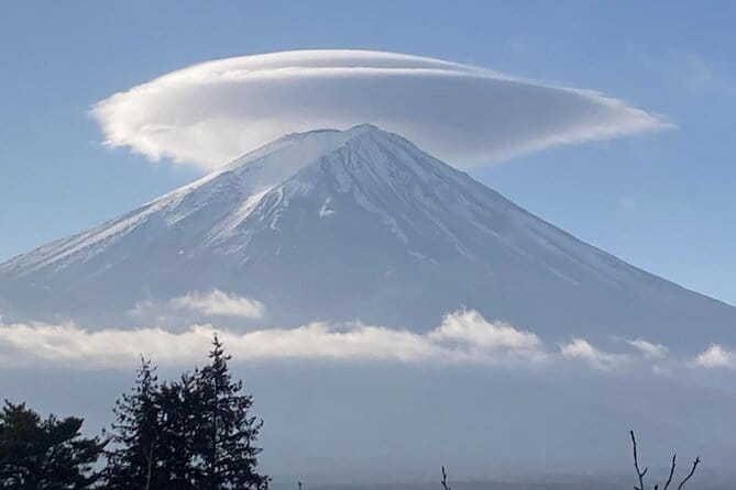 Mount Fuji and Hakone Day Trip With English Professional Guide - Accessibility and Participation