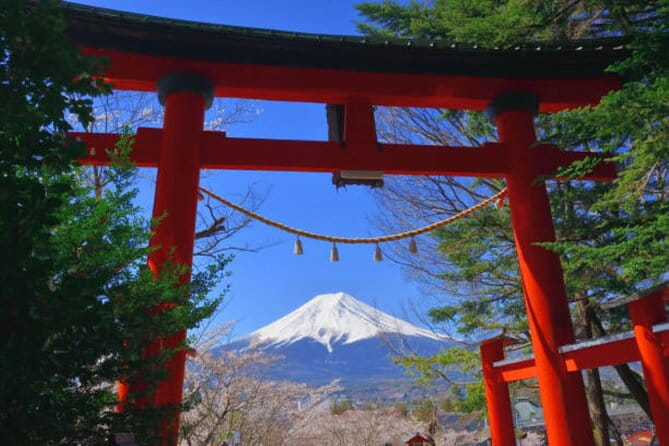 Mount Fuji and Hakone Day Trip With English Professional Guide - Highlights of the Day Trip