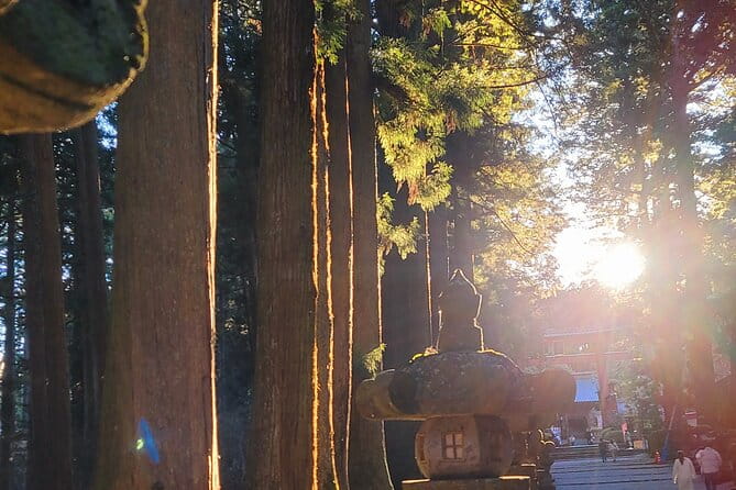 Mount Fuji and Hakone Full Day Private Sightseeing Tour - Pickup and Accessibility