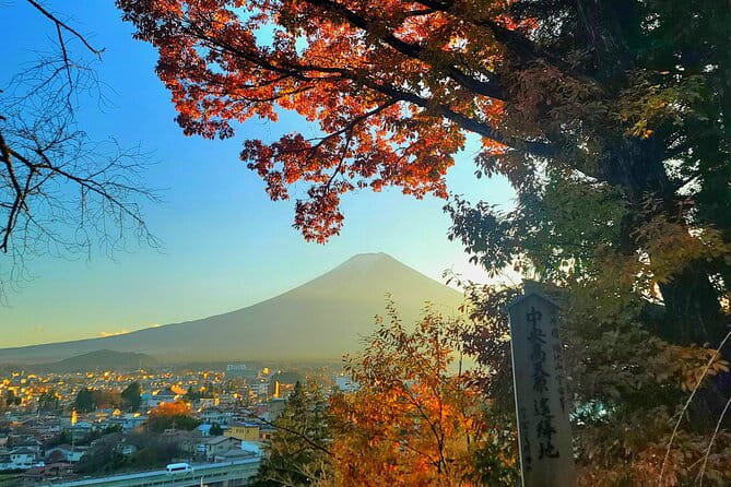 Mount Fuji and Hakone Full Day Private Sightseeing Tour - Travel Insights and Recommendations