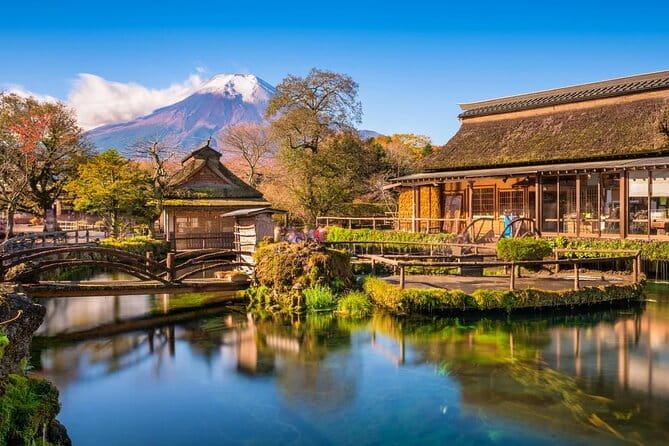 Mount Fuji and Hakone Full Day Private Sightseeing Tour - Key Points