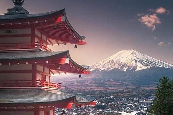 Mount Fuji and Hakone Full Day Private Sightseeing Tour - Pickup and Drop-off Information