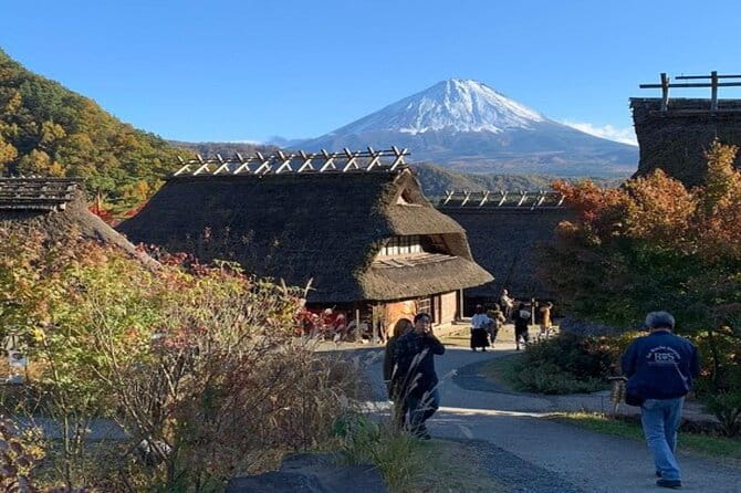 Mount Fuji and Hakone Full Day Private Sightseeing Tour - The Sum Up