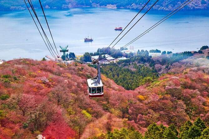 Mount Fuji and Hakone Private Day Trip by Car/Van - in English - Pickup and Drop-off Information