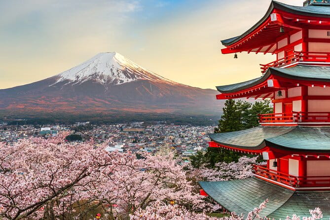 Mount Fuji and Hakone Private Day Trip by Car/Van - in English - Accessibility Features