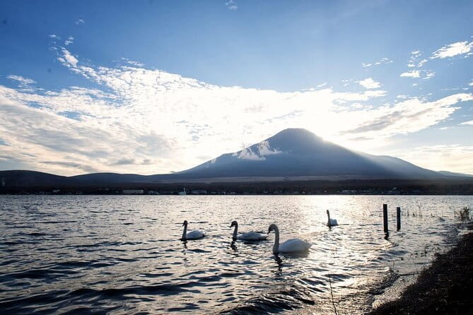 Mount Fuji and Lake Kawaguchi Private Day Trip From Tokyo - Key Points