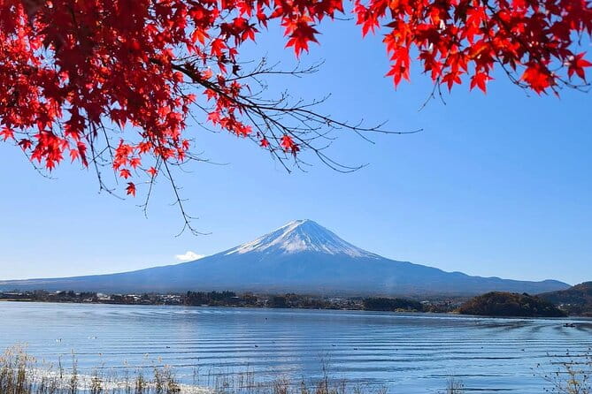 Mount Fuji and Lake Kawaguchi Private Day Trip From Tokyo - Inclusions