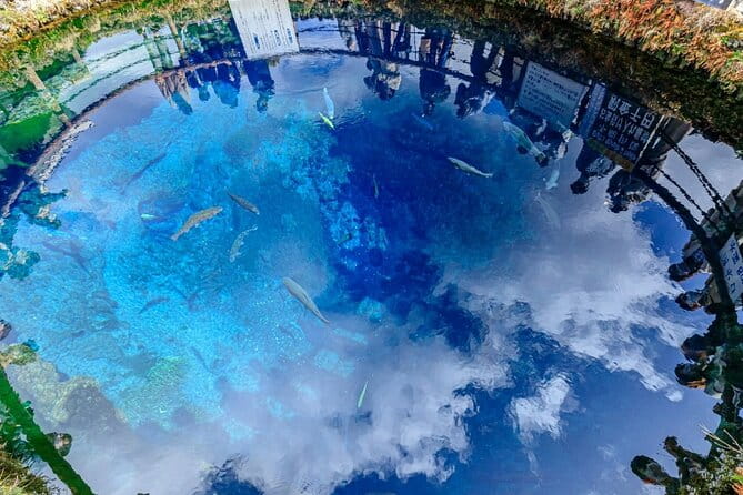 Mount Fuji and Lake Kawaguchi Private Day Trip From Tokyo - Health and Accessibility