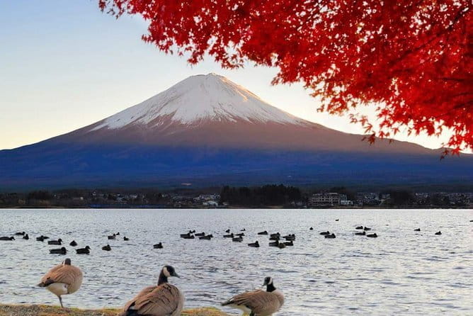 Mount Fuji Classic Day Tour (Join Tour) - Key Points