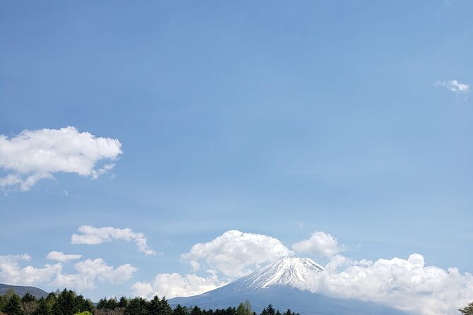 Mount Fuji Customizable One Day Private Guided Tour (From Tokyo). - Frequently Asked Questions
