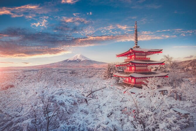Mount Fuji Customizable Private Tour From Tokyo - Transportation