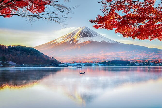 Mount Fuji Customizable Private Tour From Tokyo - Traveler Recommendations