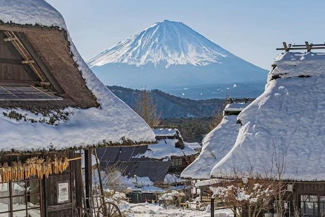 Mount Fuji Day Tour on Scenic Lakes and Oshino Hakkai Adventure - Inclusions and Exclusions