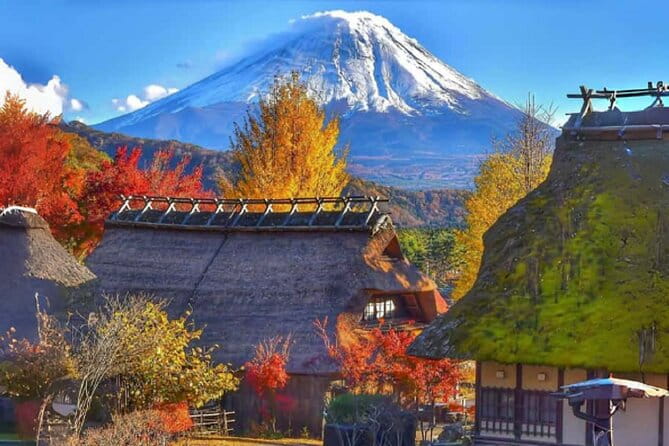 Mount Fuji Day Tour on Scenic Lakes and Oshino Hakkai Adventure - Meeting and Pickup Information