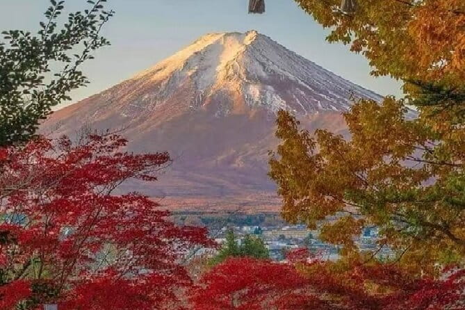Mount Fuji Day Tour on Scenic Lakes and Oshino Hakkai Adventure - Tour Restrictions and Accessibility
