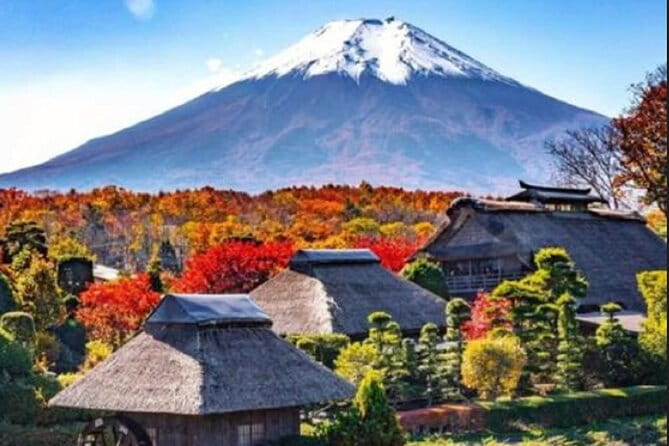Mount Fuji Day Tour on Scenic Lakes and Oshino Hakkai Adventure - Seasonal Highlights