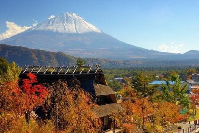Mount Fuji Day Tour on Scenic Lakes and Oshino Hakkai Adventure - Frequently Asked Questions