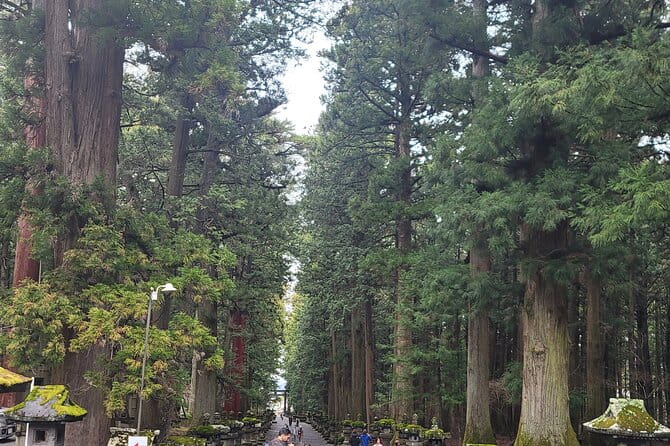 Mount Fuji Day Tour With English/Hindi Speaking Guide - Pickup and Drop-off Details