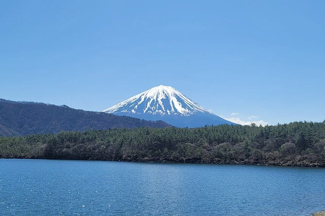 Mount Fuji Day Tour With English/Hindi Speaking Guide - Accessibility Features