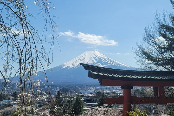 Mount Fuji Day Tour With English/Hindi Speaking Guide - Booking and Cancellation Policy