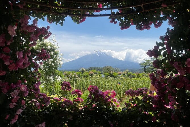 Mount Fuji Day Trip Around Lake Kawaguchiko - Whats Included