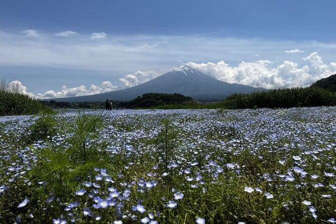 Mount Fuji Day Trip Around Lake Kawaguchiko - Getting to the Meeting Point