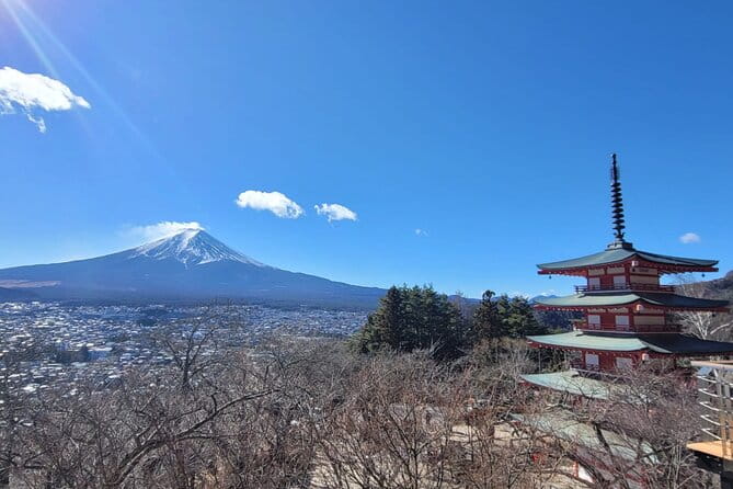 Mount Fuji Day Trip From Tokyo With English Speaking Chauffeur - Accessibility and Participation