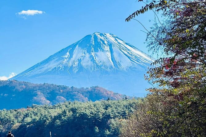 Mount Fuji Day Trip From Tokyo With English Speaking Chauffeur - Itinerary