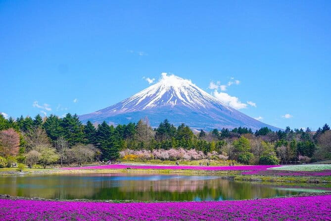 Mount Fuji Day Trip From Tokyo With English Speaking Chauffeur - Highlights of the Tour