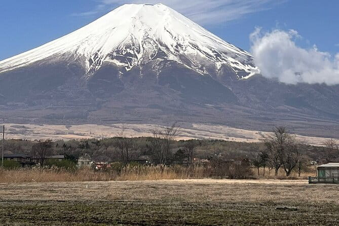 Mount Fuji Day Trip From Tokyo With English Speaking Chauffeur - The Sum Up
