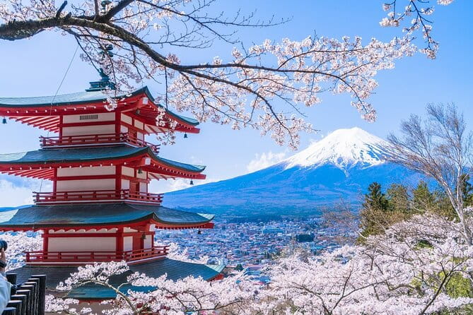 Mount Fuji Day Trip From Tokyo With Scenic Views - Included Amenities and Pricing