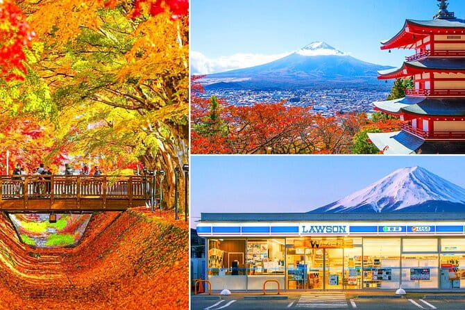 Mount Fuji Day Trip From Tokyo With Scenic Views - Meeting and Pickup Details