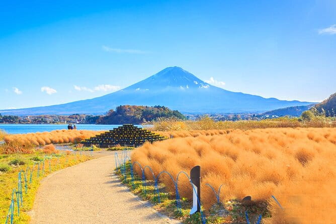 Mount Fuji Day Trip From Tokyo With Scenic Views - Considerations for Travelers