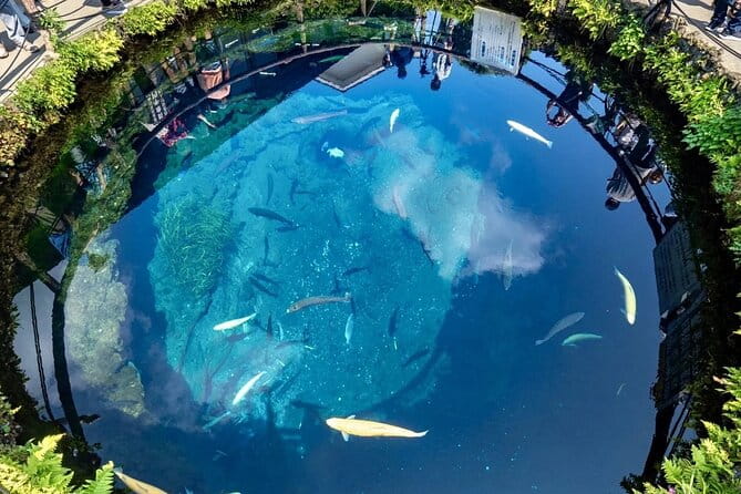 Mount Fuji Day Trip From Tokyo With Scenic Views - Exploring the Scenic Lake Kawaguchi