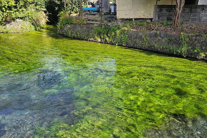 Mount Fuji E-Bike Tour: Explore Nature and History - Historical and Cultural Highlights